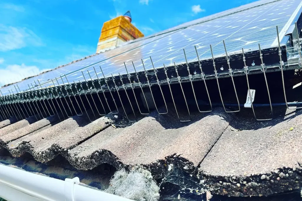 Birdspikes On Solar Panels