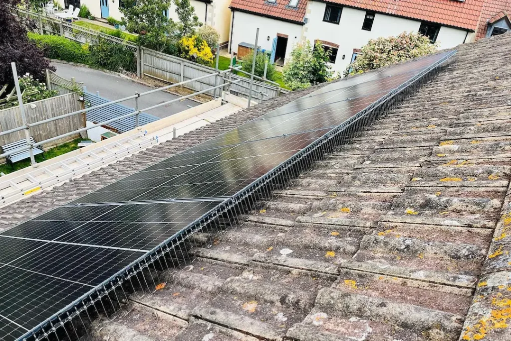 Solar Panel Pigeon Proofing